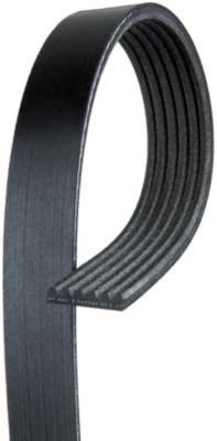 Napa serpentine outlet belt