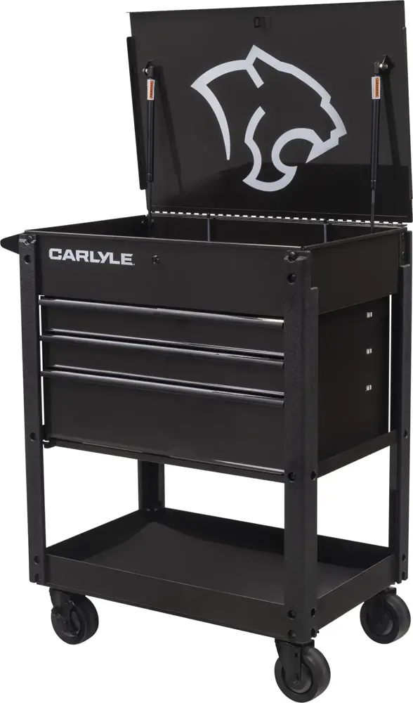 洋楽 CLEPYSDRA 3654 DAYS: LIMITED 4CD BOX Carlyle Deluxe 4 Drawer Cart Midnight Oil CSE C4DRCARTMO | Product